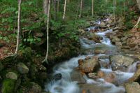 Flume Brook -- Franconia State Park - New Hampshire